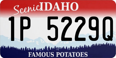 ID license plate 1P5229Q