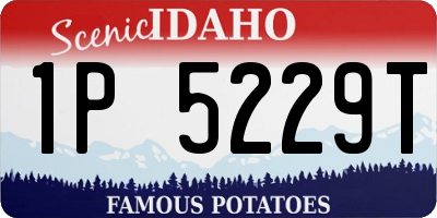 ID license plate 1P5229T