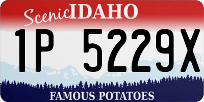 ID license plate 1P5229X