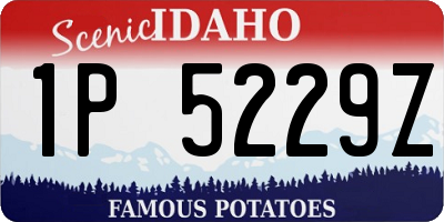 ID license plate 1P5229Z