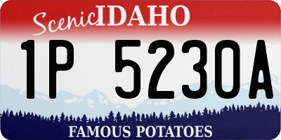ID license plate 1P5230A