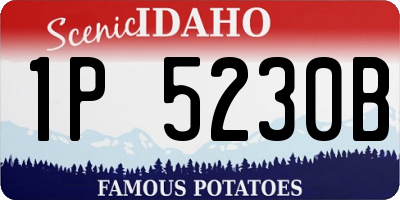 ID license plate 1P5230B