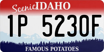 ID license plate 1P5230F
