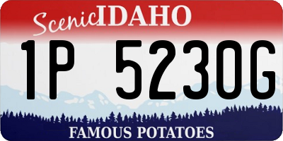 ID license plate 1P5230G