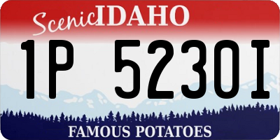 ID license plate 1P5230I