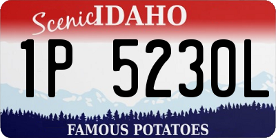 ID license plate 1P5230L