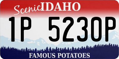 ID license plate 1P5230P