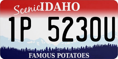 ID license plate 1P5230U