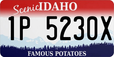 ID license plate 1P5230X