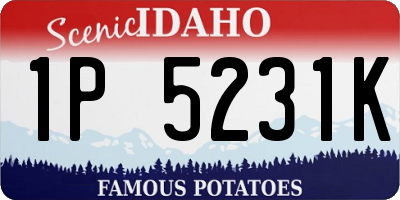 ID license plate 1P5231K
