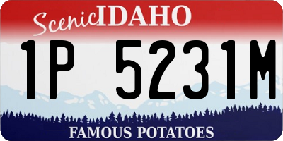 ID license plate 1P5231M