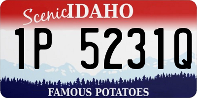 ID license plate 1P5231Q