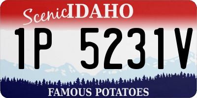 ID license plate 1P5231V