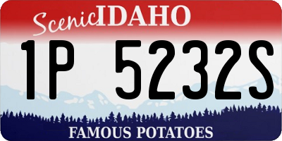ID license plate 1P5232S
