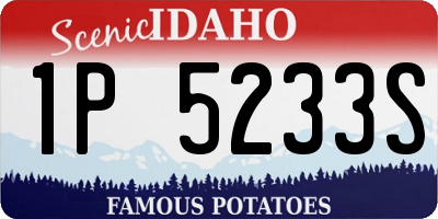 ID license plate 1P5233S