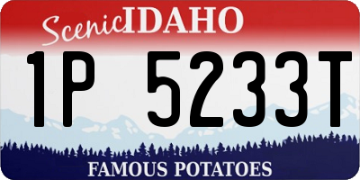 ID license plate 1P5233T