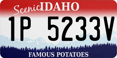 ID license plate 1P5233V