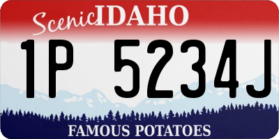 ID license plate 1P5234J