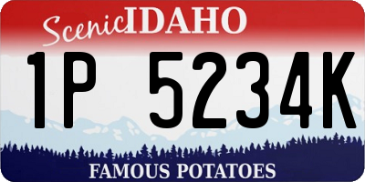 ID license plate 1P5234K