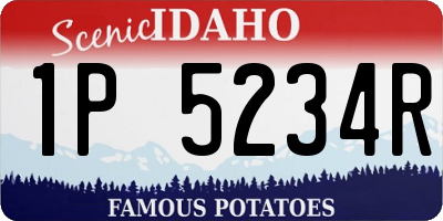 ID license plate 1P5234R