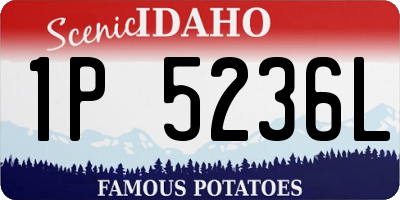 ID license plate 1P5236L