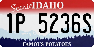 ID license plate 1P5236S