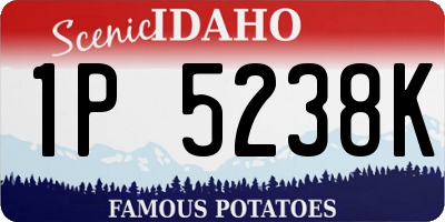 ID license plate 1P5238K