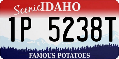 ID license plate 1P5238T