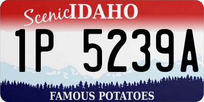 ID license plate 1P5239A