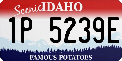 ID license plate 1P5239E
