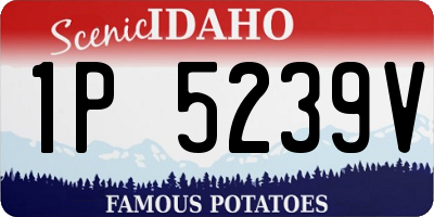 ID license plate 1P5239V