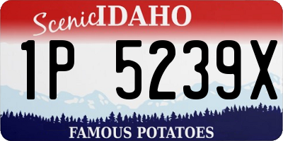 ID license plate 1P5239X