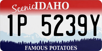 ID license plate 1P5239Y