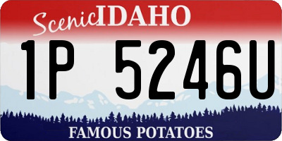 ID license plate 1P5246U