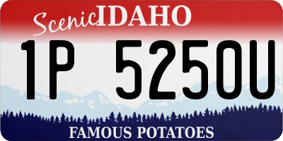 ID license plate 1P5250U