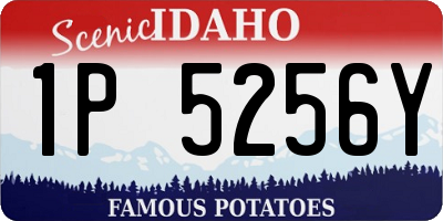 ID license plate 1P5256Y