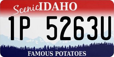 ID license plate 1P5263U
