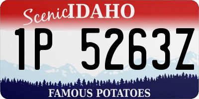ID license plate 1P5263Z