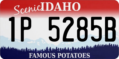 ID license plate 1P5285B