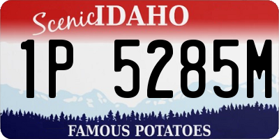 ID license plate 1P5285M