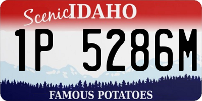 ID license plate 1P5286M