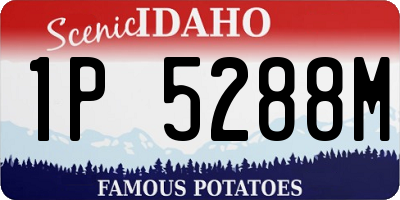 ID license plate 1P5288M