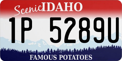 ID license plate 1P5289U