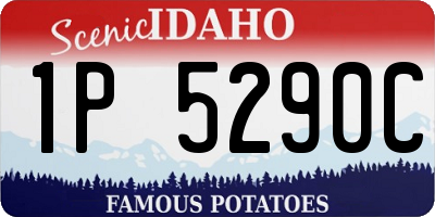 ID license plate 1P5290C