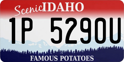 ID license plate 1P5290U