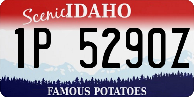 ID license plate 1P5290Z