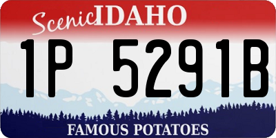ID license plate 1P5291B