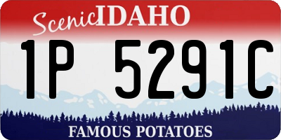 ID license plate 1P5291C