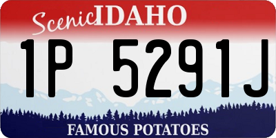ID license plate 1P5291J