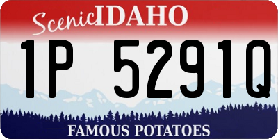 ID license plate 1P5291Q